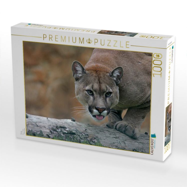 Produktbild: CALVENDO Puzzle Puma | 1000 Teile Lege-Gr&ouml;&szlig;e 64x48cm Foto-Puzzle f&uuml;r gl&uuml;ckliche Stunden
