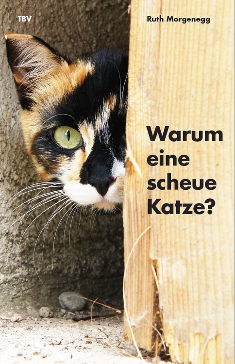 Produktbild: Warum eine scheue Katze?