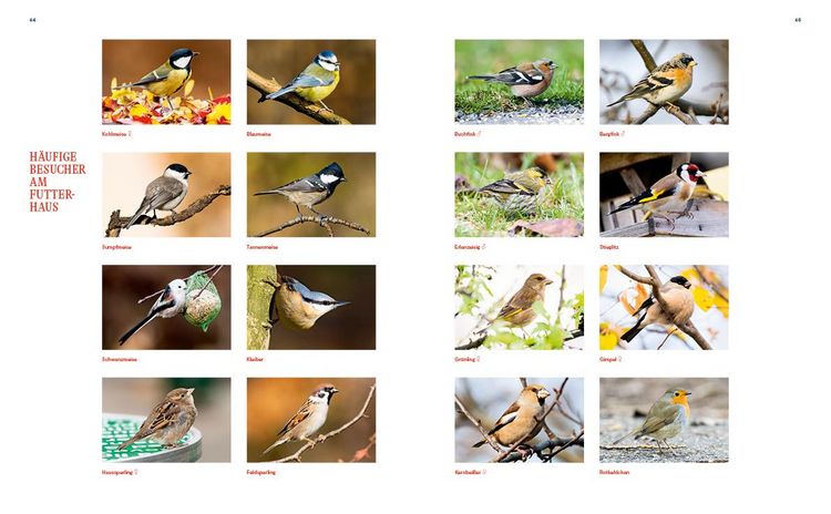 Produktbild: Unsere Vogelwelt