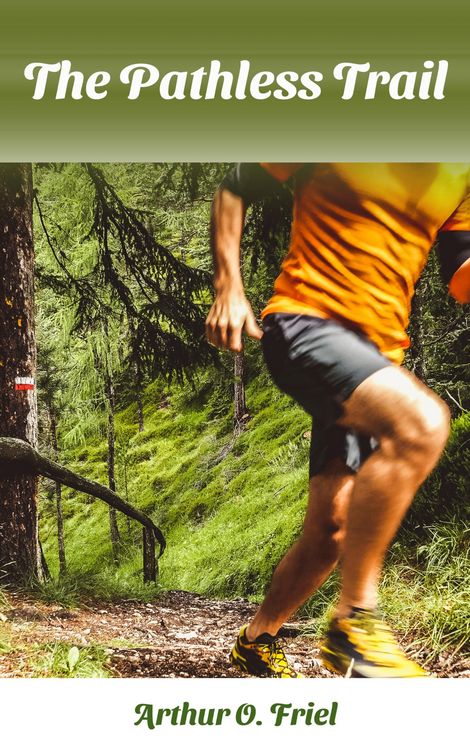 Produktbild: The Pathless Trail