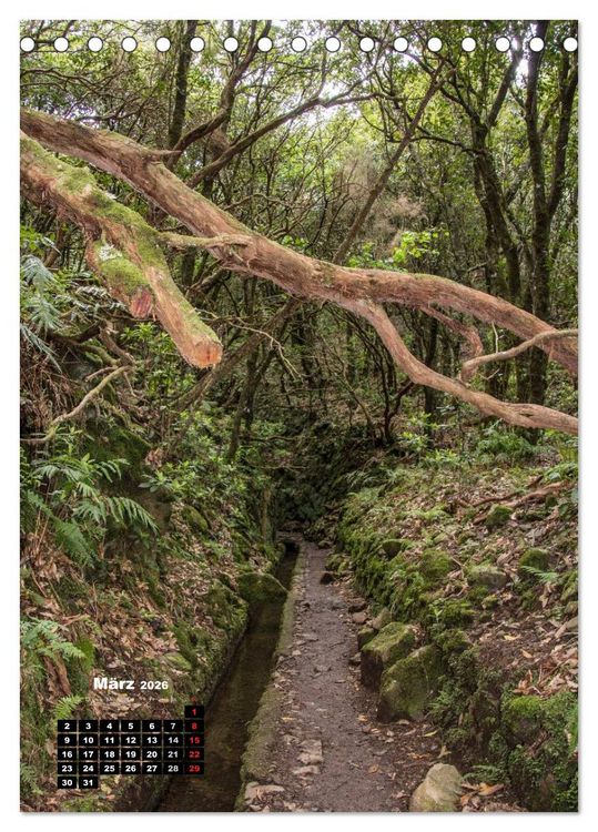 Produktbild: Levadas - Wasserwege auf Madeira (Tischkalender 2026 DIN A5 hoch), CALVENDO Monatskalender