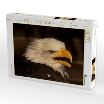 Produktbild: CALVENDO Puzzle Greifv&ouml;gel - Der Wei&szlig;kopfseeadler | 1000 Teile Lege-Gr&ouml;&szlig;e 64x48cm Foto-Puzzle f&uuml;r gl&uuml;ckliche Stunden