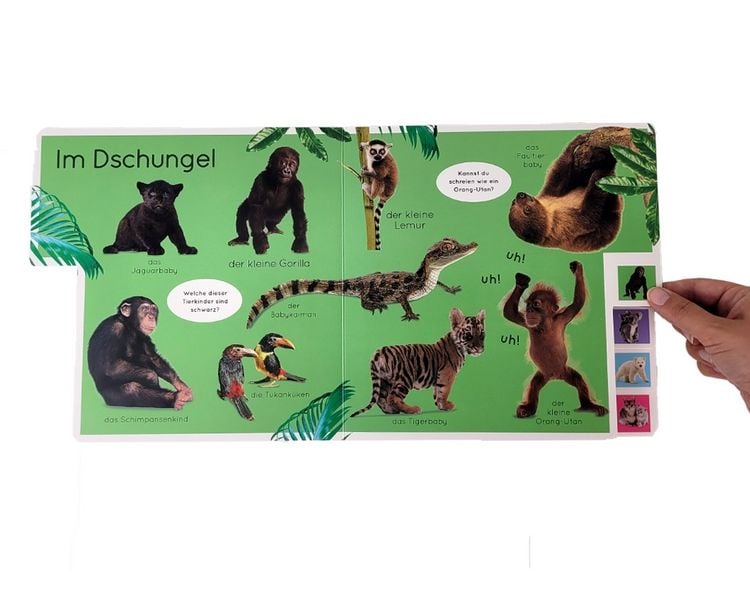 Produktbild: Erstes Lernen. Tierkinder