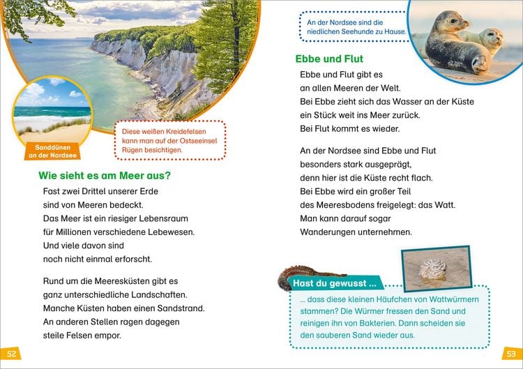 Produktbild: WAS IST WAS Erstes Lesen Band 4. Natur entdecken