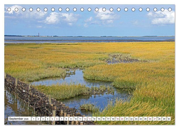 Produktbild: GREETSIEL - Schafe - Krabbenkutter - M&ouml;wen (Tischkalender 2026 DIN A5 quer), CALVENDO Monatskalender