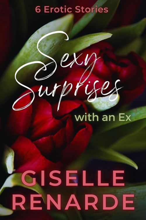 Produktbild: Sexy Surprises with an Ex
