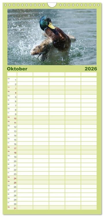 Produktbild: Familienplaner 2026 - Duck Power mit 5 Spalten (Wandkalender, 21 x 45 cm) CALVENDO