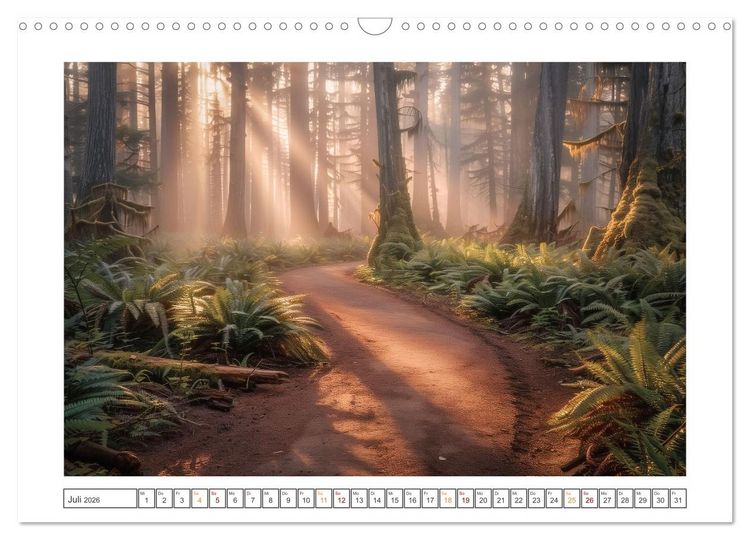 Produktbild: Mystische Wege (Wandkalender 2026 DIN A3 quer), CALVENDO Monatskalender