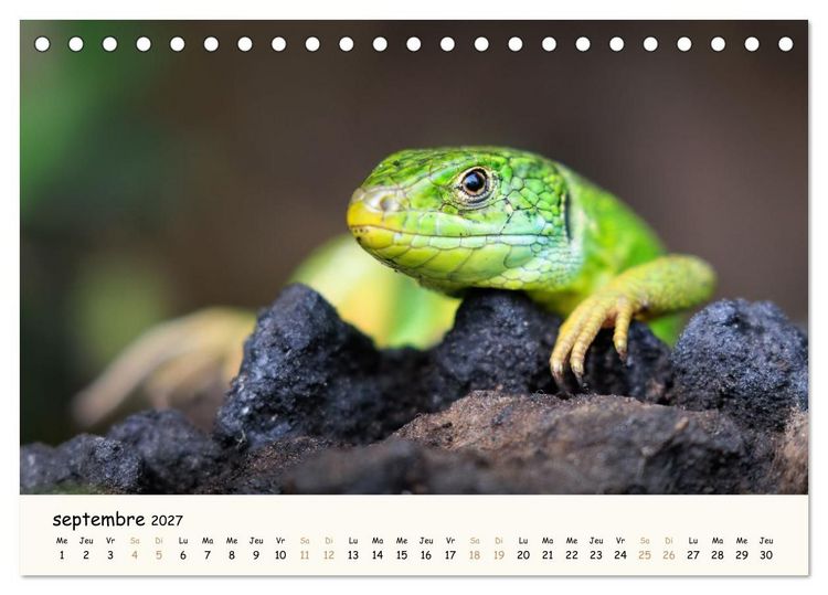 Produktbild: Les voisins du jardin - Une ann&eacute;e de rencontres (Calendrier de bureau 2027 DIN A5 vertical), CALVENDO calendrier mensuel