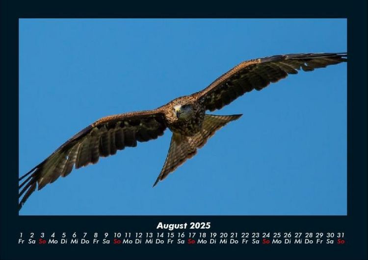 Produktbild: Adler 2025 Fotokalender DIN A4