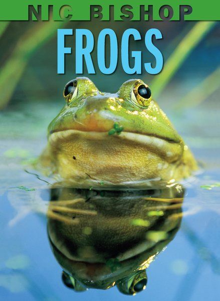 Produktbild: Nic Bishop: Frogs