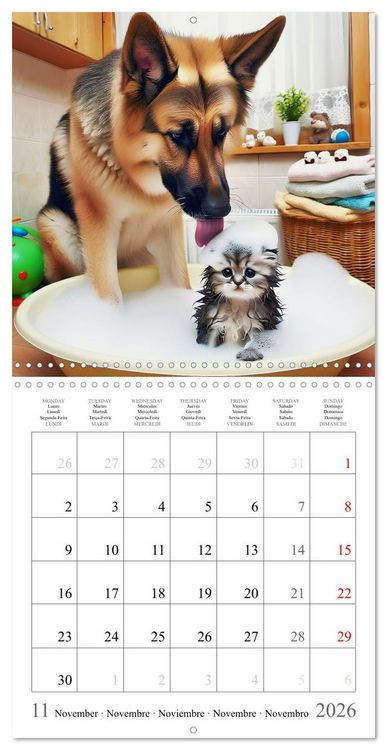 Produktbild: Des amis inhabituels (Calendrier mural carr&eacute; 2026 30x30 cm) Calendrier double avec une page pour vos prises de notes
