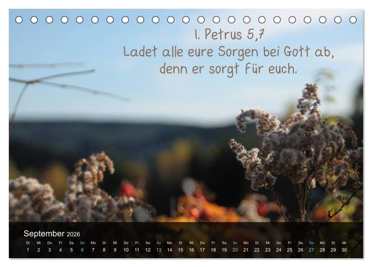 Produktbild: Sch&ouml;pfung im Licht (Tischkalender 2026 DIN A5 quer), CALVENDO Monatskalender