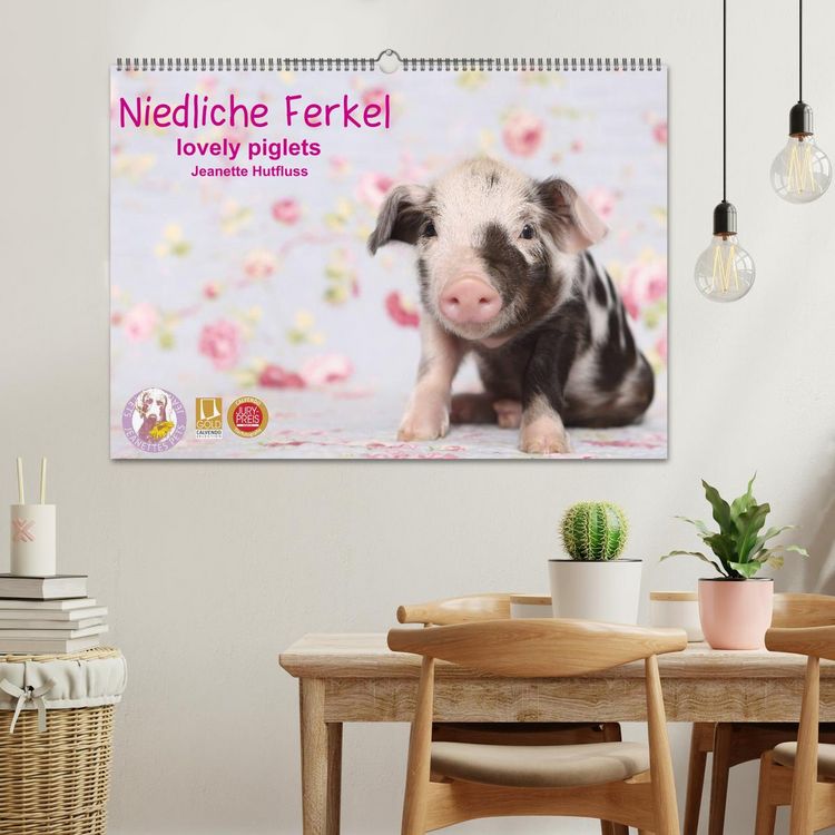 Produktbild: Niedliche Ferkel lovely piglets 2026 (Wandkalender 2026 DIN A2 quer), CALVENDO Monatskalender