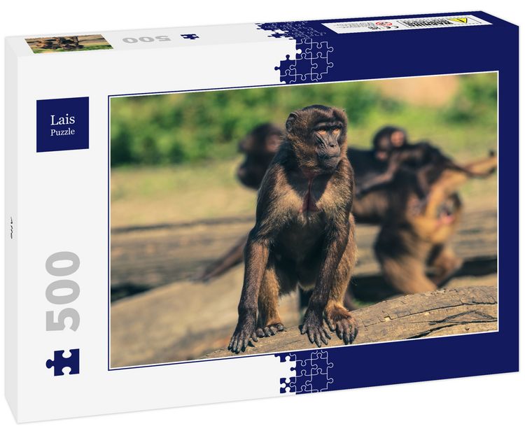 Produktbild: Lais Puzzle Affe 500 Teile