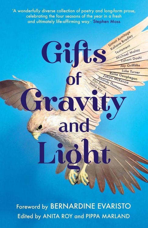 Produktbild: Gifts of Gravity and Light