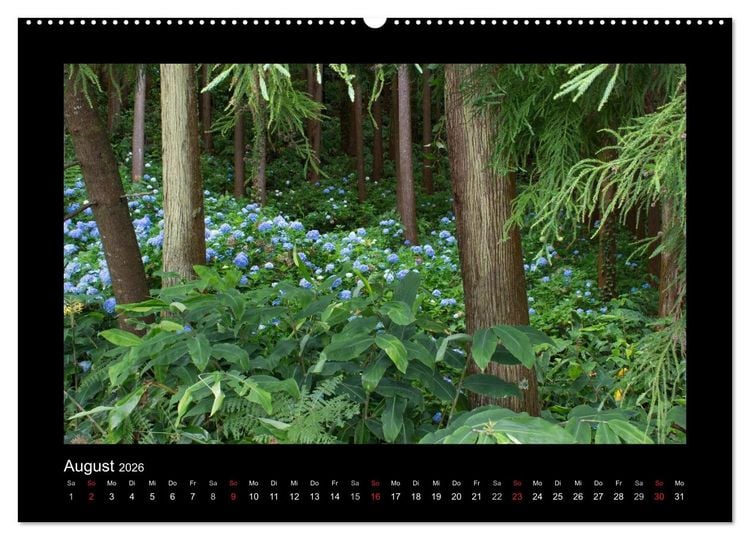 Produktbild: Azoren - S&atilde;o Miguel (hochwertiger Premium Wandkalender 2026 DIN A2 quer), Kunstdruck in Hochglanz