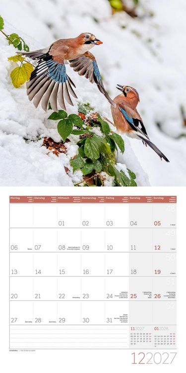 Produktbild: Gartenfreunde Kalender 2027 - 30x30 - Art12