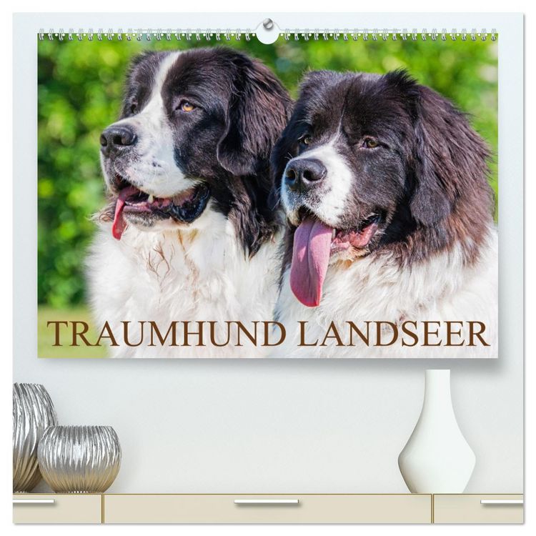Produktbild: Traumhund Landseer (hochwertiger Premium Wandkalender 2026 DIN A2 quer), Kunstdruck in Hochglanz