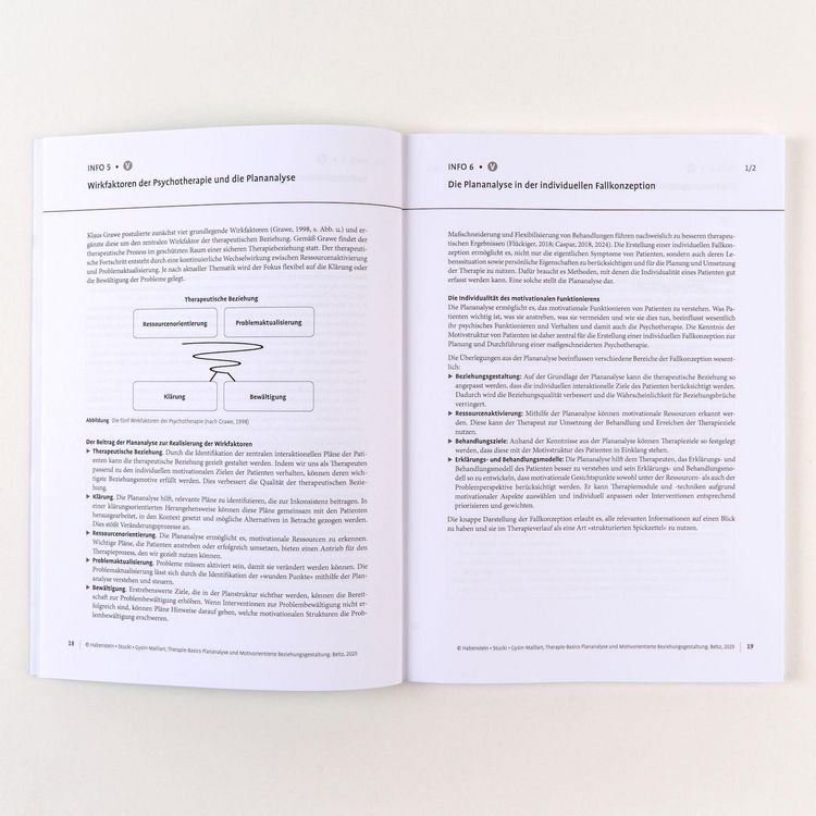 Produktbild: Therapie-Basics Plananalyse und Motivorientierte Beziehungsgestaltung