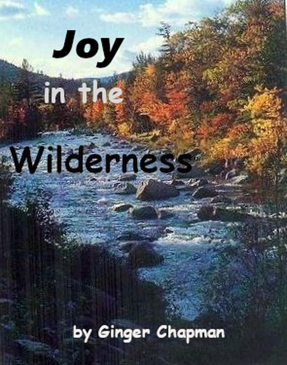 Produktbild: Joy in the Wilderness