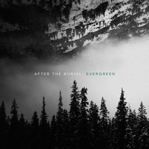 Produktbild: Evergreen