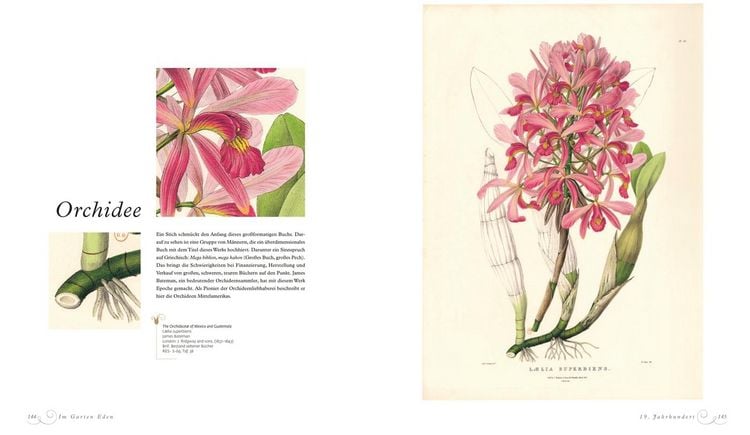 Produktbild: Im Garten Eden