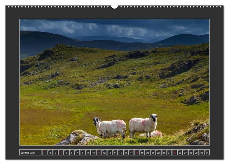 Produktbild: IRLAND - Insel der gl&uuml;cklichen Schafe (Wandkalender 2026 DIN A2 quer), CALVENDO Monatskalender