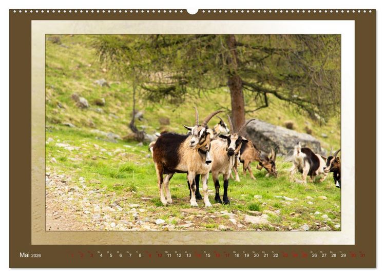 Produktbild: Das vergessene Tal. Schnalstal - Val Senales (Wandkalender 2026 DIN A2 quer), CALVENDO Monatskalender