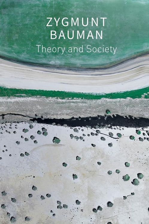 Produktbild: Theory and Society