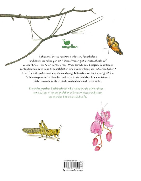 Produktbild: Insekten - Kleine Lebewesen, gro&szlig;e Vielfalt