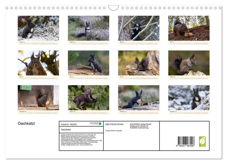 Produktbild: Oachkatzl (Wandkalender 2026 DIN A3 quer), CALVENDO Monatskalender