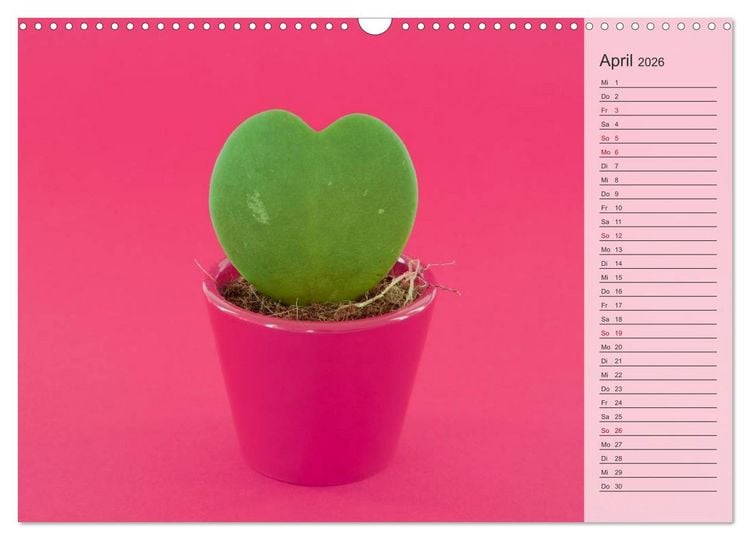 Produktbild: Tage von Herzen (Wandkalender 2026 DIN A3 quer), CALVENDO Monatskalender