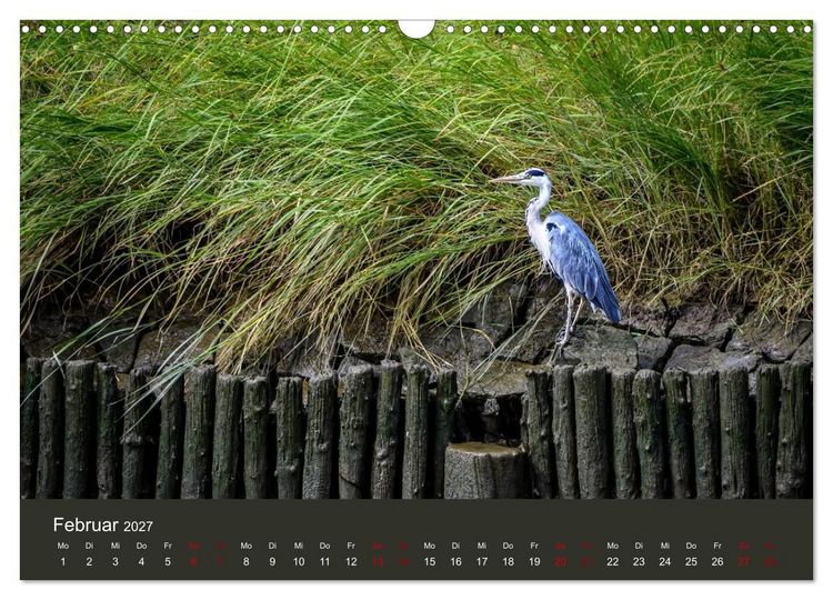 Produktbild: Reiher in der Elbmarsch (Wandkalender 2027 DIN A3 quer), CALVENDO Monatskalender