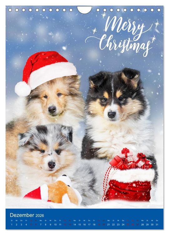 Produktbild: Traumhund Collie - Gl&uuml;ck auf vier Pfoten (Wandkalender 2026 DIN A4 hoch), CALVENDO Monatskalender