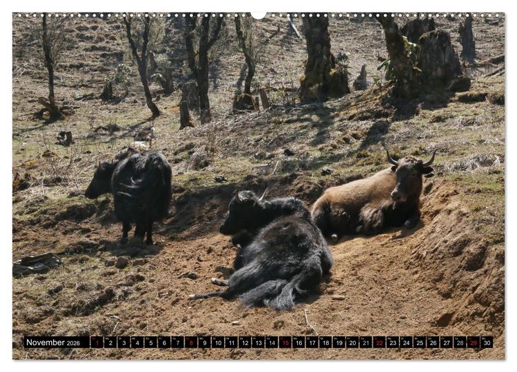 Produktbild: Druk Yul - Szenen aus Bhutan (Wandkalender 2026 DIN A2 quer), CALVENDO Monatskalender