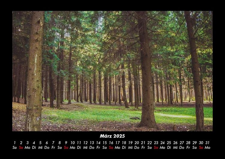 Produktbild: B&auml;ume 2025 Fotokalender DIN A3