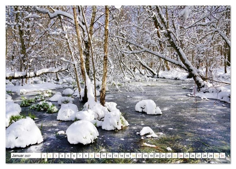 Produktbild: 12 Monate Natur (Wandkalender 2027 DIN A2 quer), CALVENDO Monatskalender