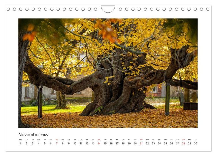 Produktbild: Impressionen aus Ostwestfalen-Lippe (Wandkalender 2027 DIN A4 quer), CALVENDO Monatskalender