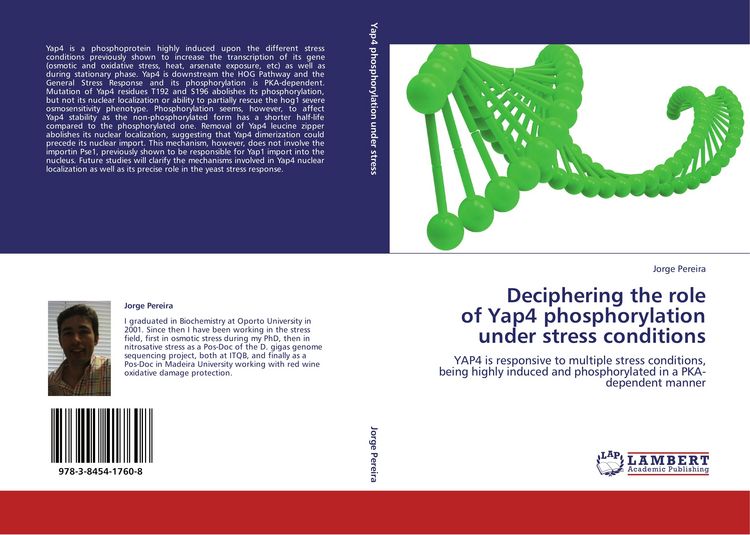Produktbild: Deciphering the role of Yap4 phosphorylation under stress conditions