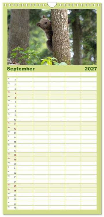 Produktbild: Familienplaner 2027 - Lautlos in den W&auml;ldern Sloweniens mit 5 Spalten (Wandkalender, 21 x 45 cm) CALVENDO