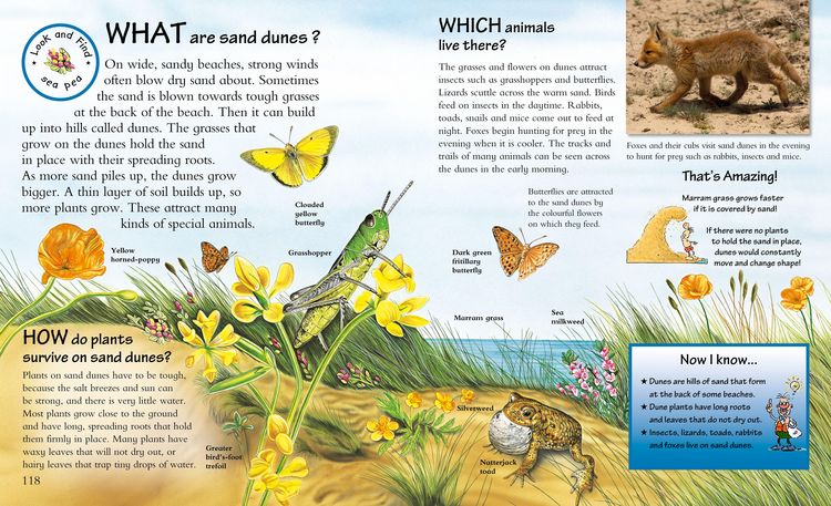 Produktbild: What? Where? Why?: Questions and Answers About Nature?