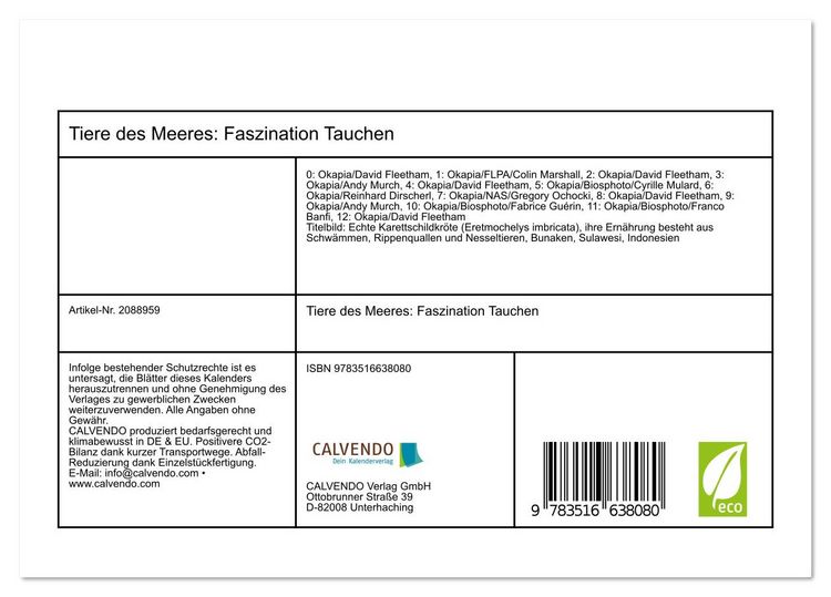 Produktbild: Tiere des Meeres: Faszination Tauchen (Tischkalender 2026 DIN A5 quer), CALVENDO Monatskalender