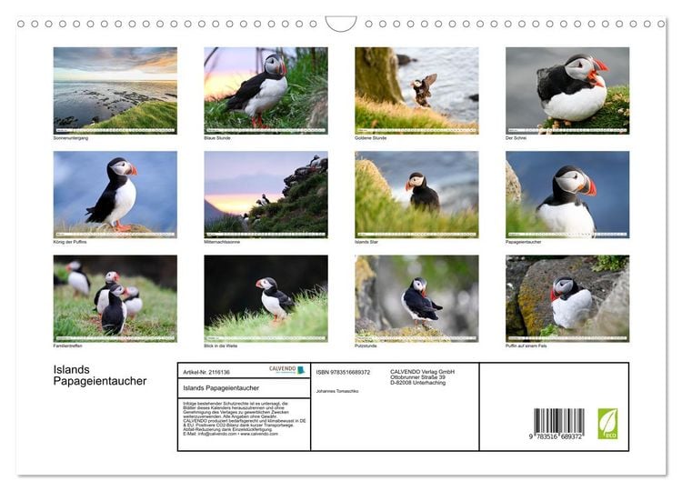 Produktbild: Islands Papageientaucher (Wandkalender 2026 DIN A3 quer), CALVENDO Monatskalender
