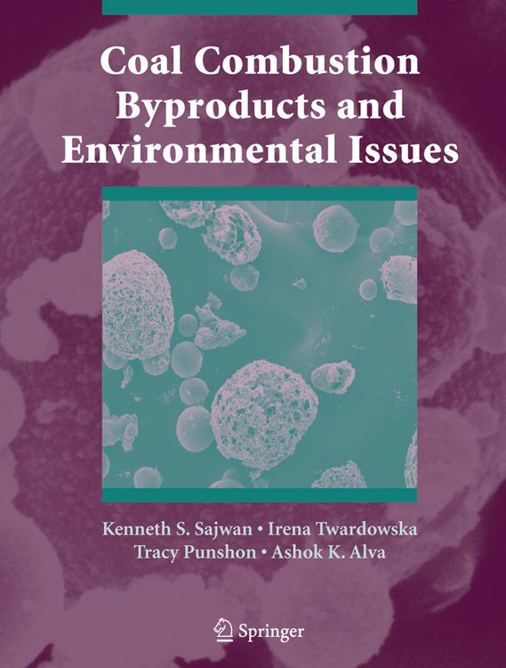 Produktbild: Coal Combustion Byproducts and Environmental Issues