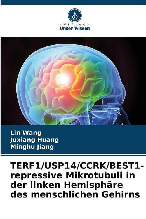 Produktbild: TERF1/USP14/CCRK/BEST1-repressive Mikrotubuli in der linken Hemisph&auml;re des menschlichen Gehirns