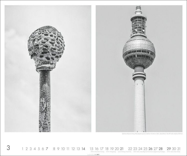 Produktbild: Natur - Architektur Kalender 2027