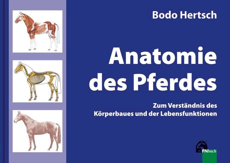 Produktbild: Anatomie des Pferdes