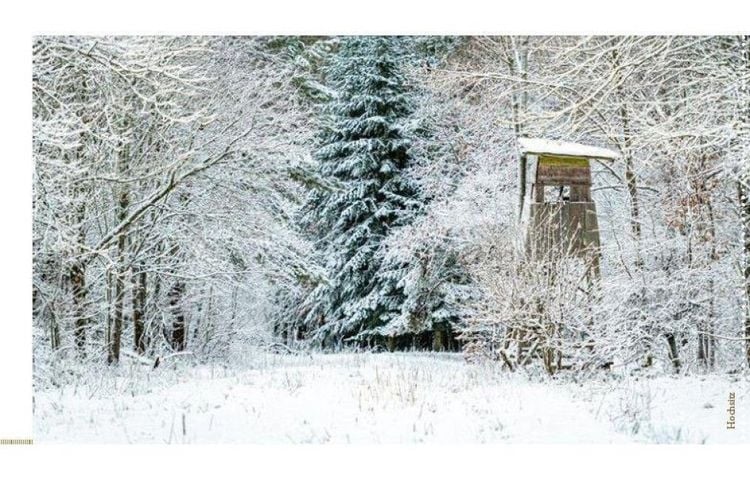Produktbild: Escape Christmas - Der Adventskalender zum Auftrennen