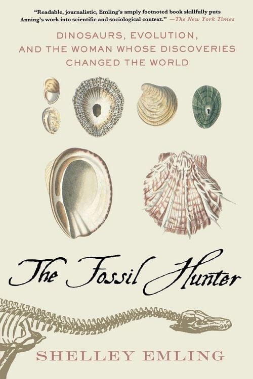 Produktbild: Fossil Hunter